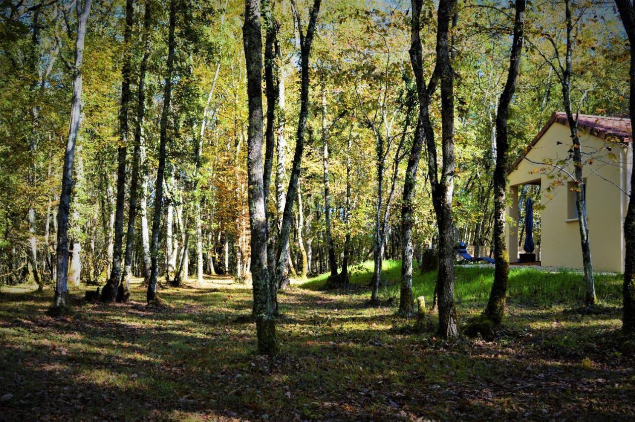 Gite Spa & Nature Saint-Chamassy Exterior photo